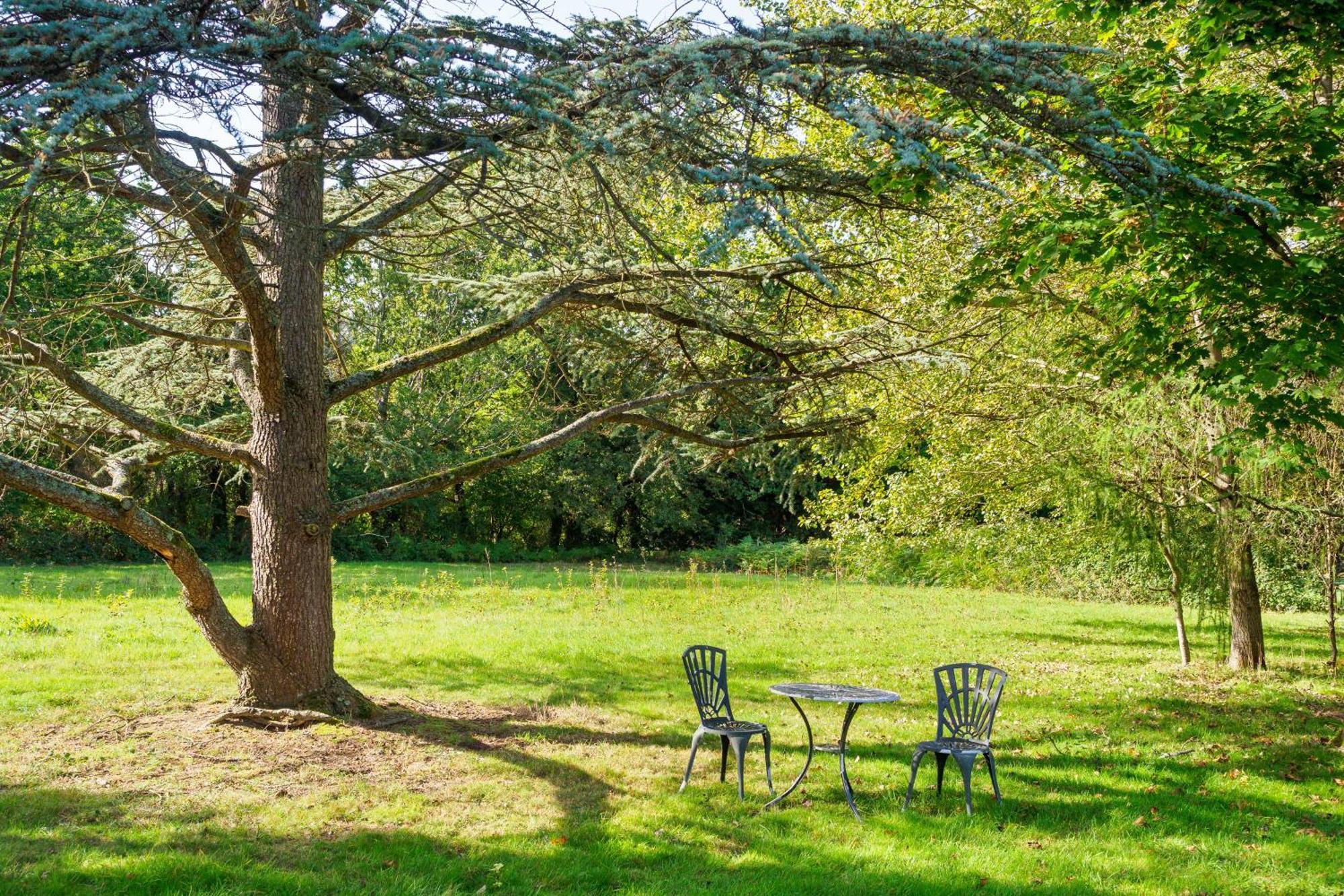 Country Cottage 2Br With Hot Tub And Tennis Court Chiddingly Exterior photo